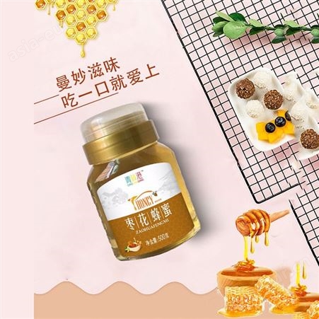 枣花洋槐蜂蜜500克瓶装甜味调味饮品商超渠道